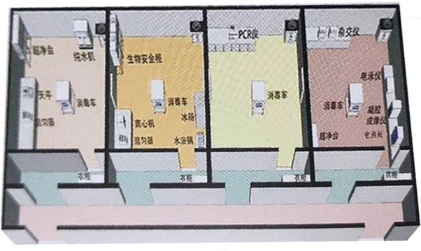 PCR實(shí)驗(yàn)室3D平面圖